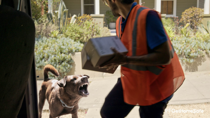 dog alert blog hero